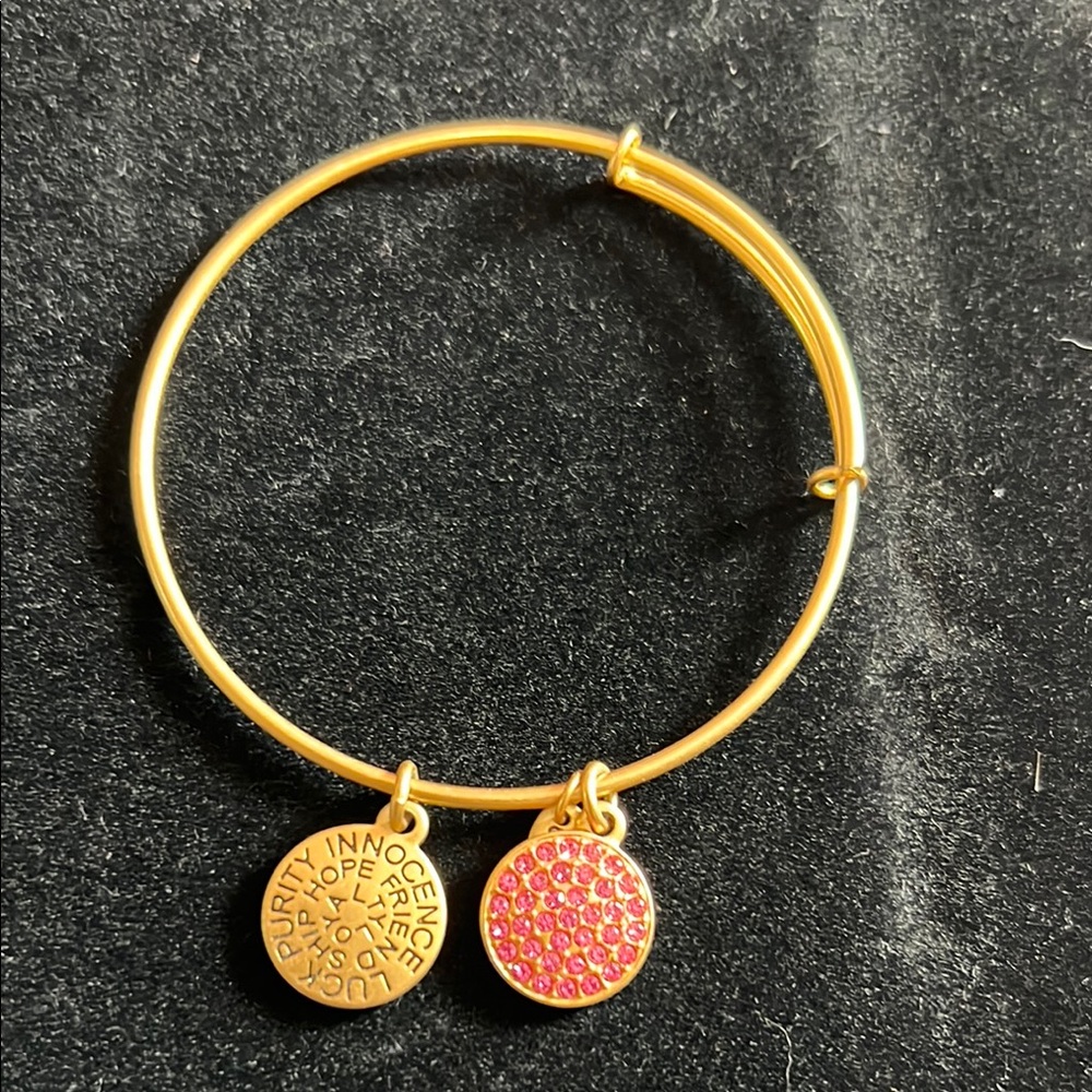 Gold Bracelet with Pink Charm
NEW Alex & Ani